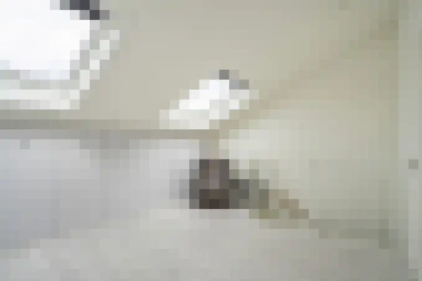 Nootdorpse Landingslaan 258 Den Haag thumbnail 30