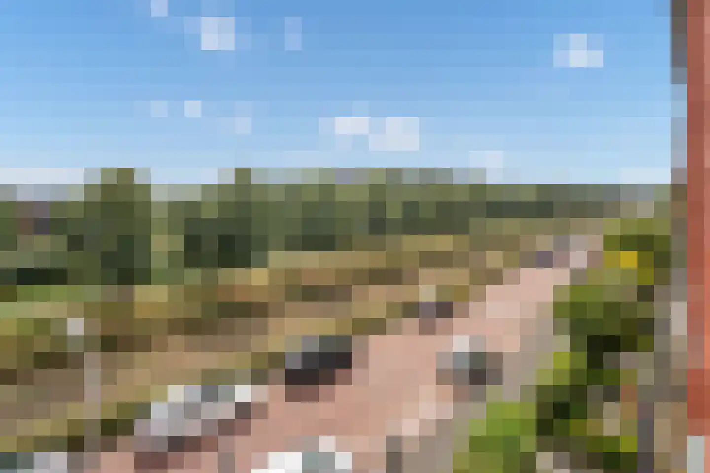 Nootdorpse Landingslaan 258 Den Haag thumbnail 34