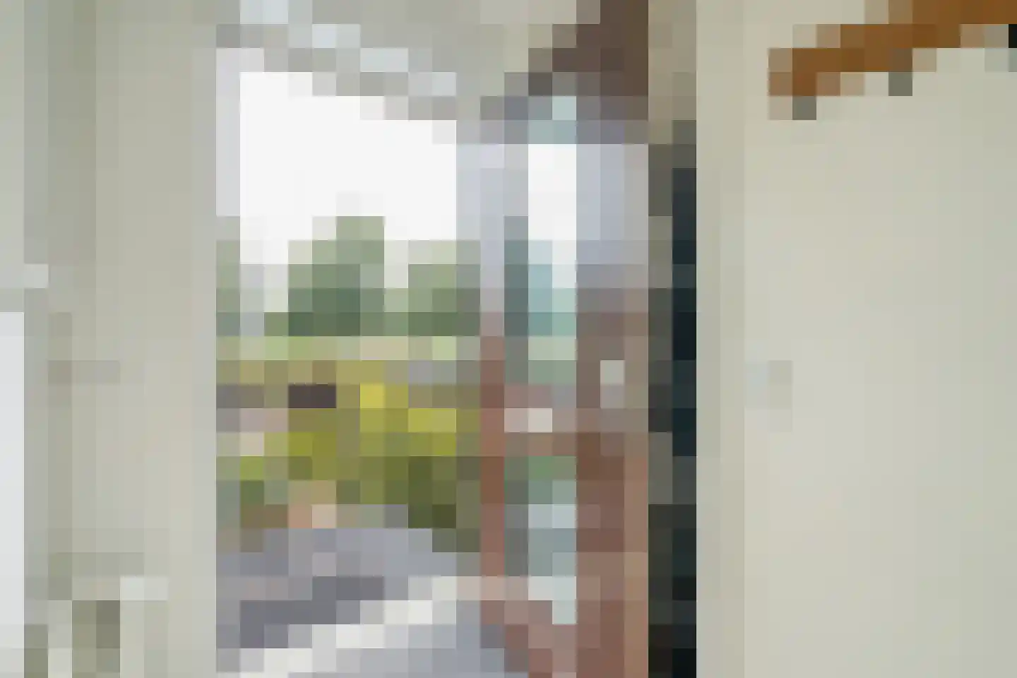 Nootdorpse Landingslaan 258 Den Haag thumbnail 6