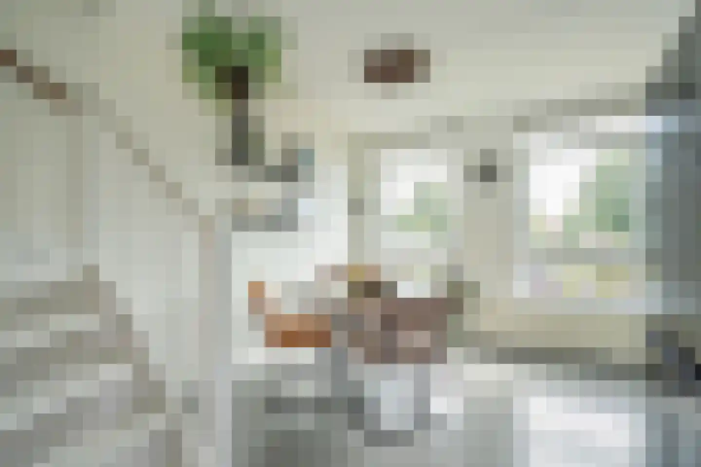 Nootdorpse Landingslaan 258 Den Haag thumbnail 9