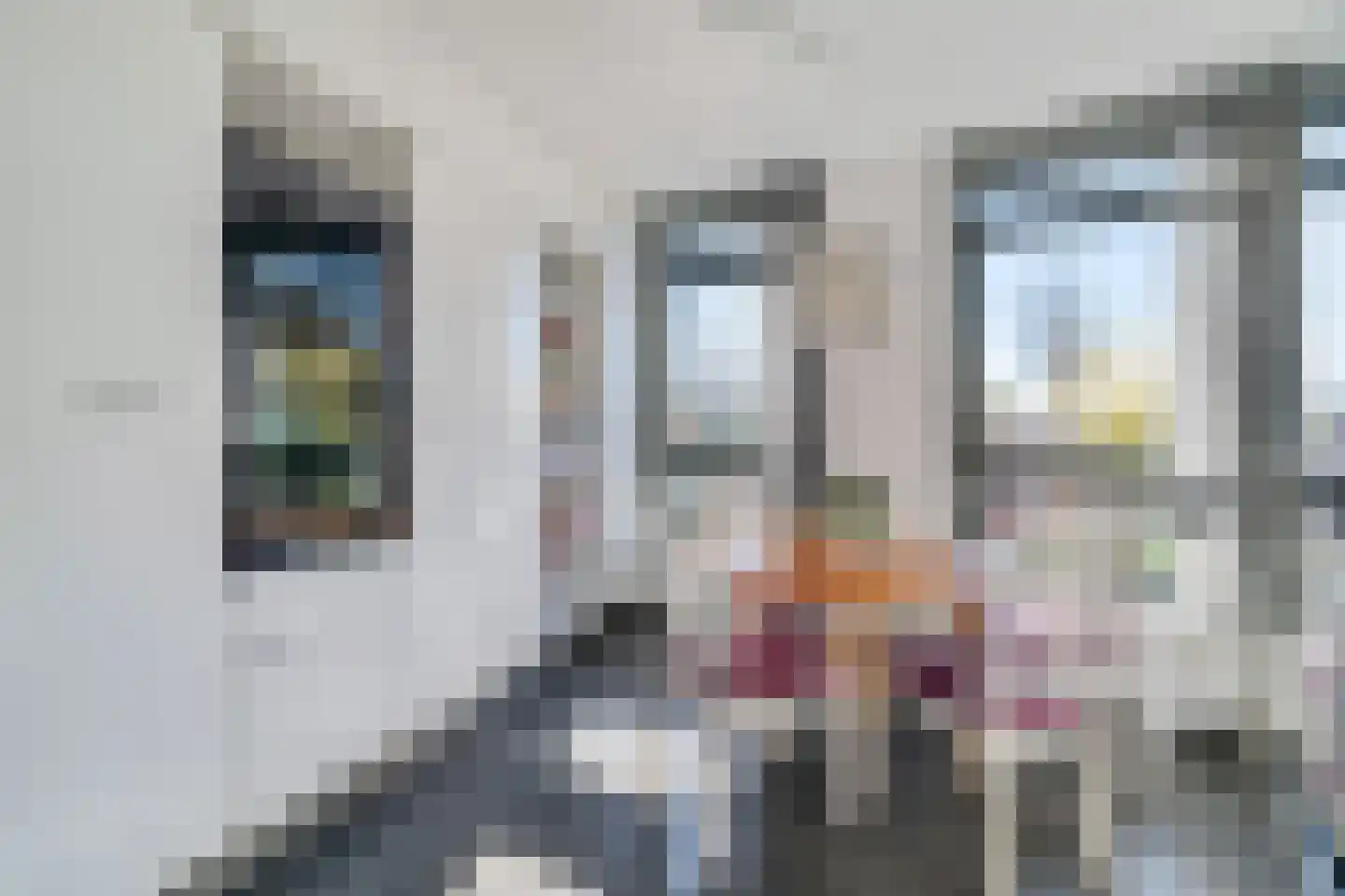 Nootdorpse Landingslaan 270 Den Haag thumbnail 11