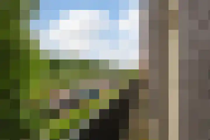 Nootdorpse Landingslaan 322 Den Haag thumbnail 42
