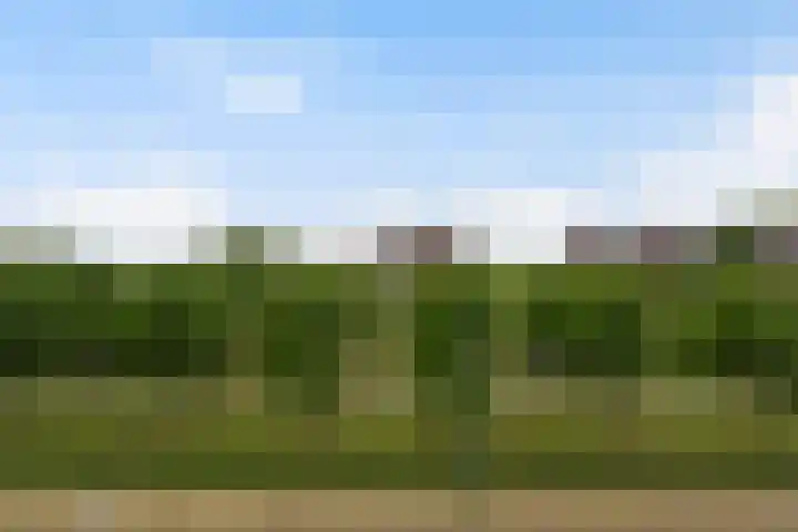 Nootdorpse Landingslaan 322 Den Haag thumbnail 44