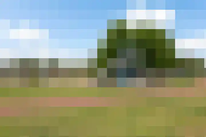 Nootdorpse Landingslaan 322 Den Haag thumbnail 48