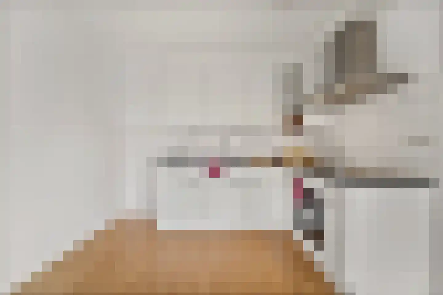 Nootdorpse Landingslaan 38 Den Haag thumbnail 12