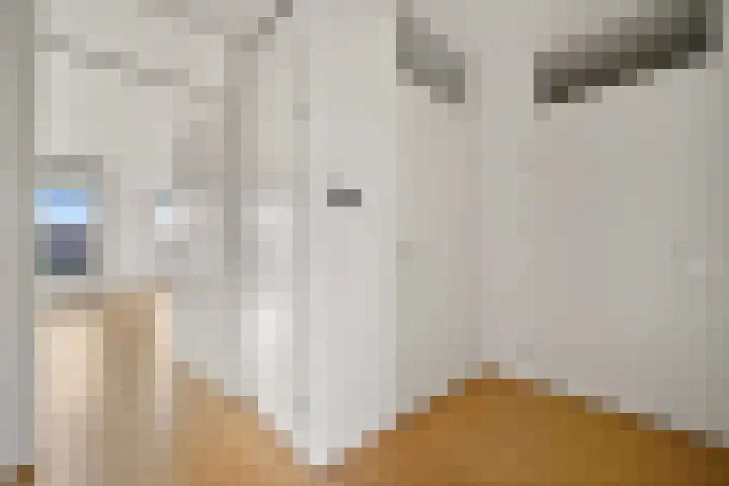 Nootdorpse Landingslaan 38 Den Haag thumbnail 18