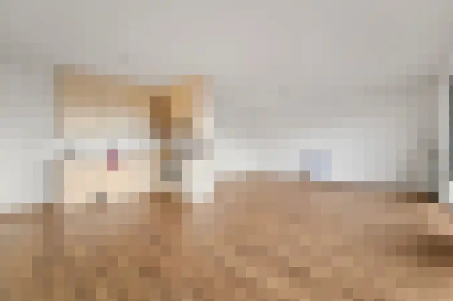 Nootdorpse Landingslaan 46 Den Haag thumbnail 14