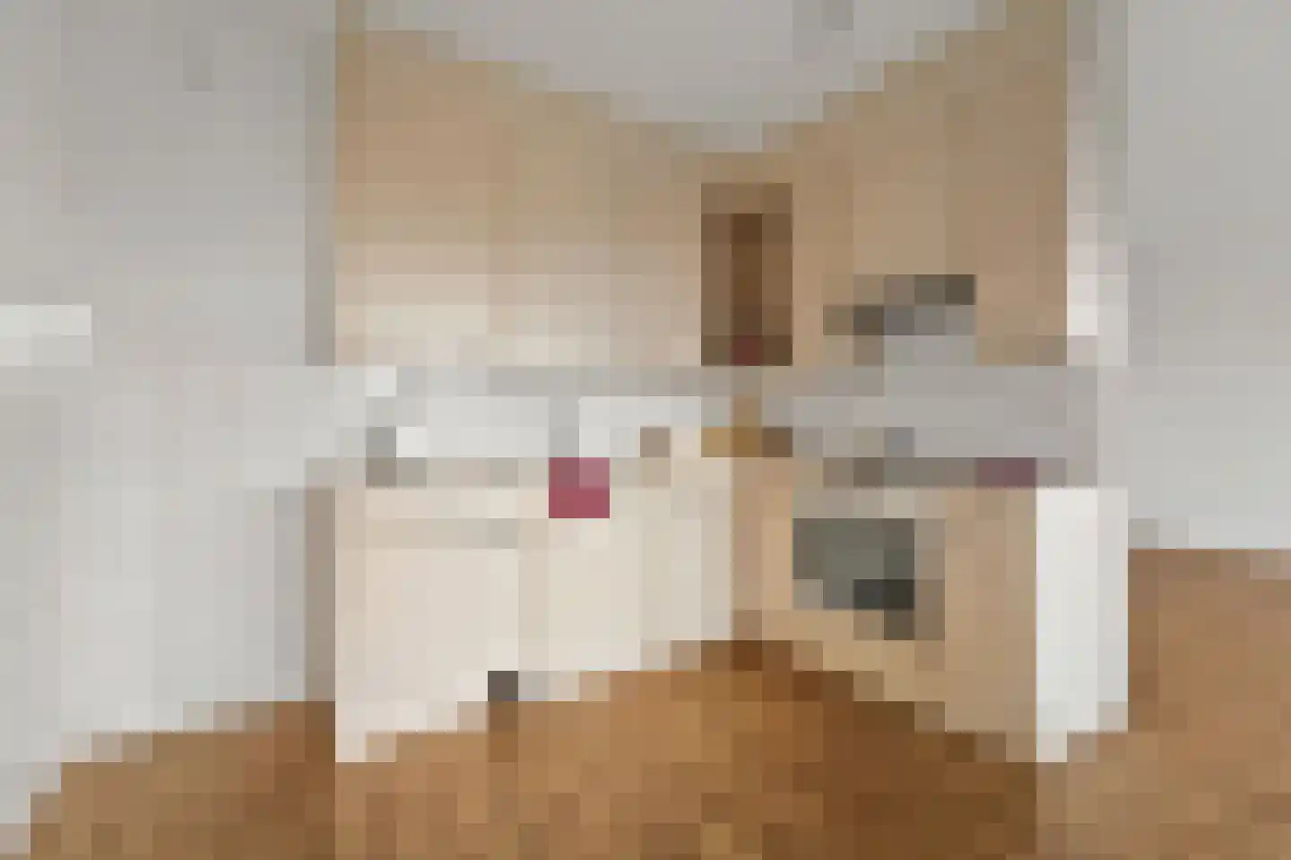 Nootdorpse Landingslaan 46 Den Haag thumbnail 15