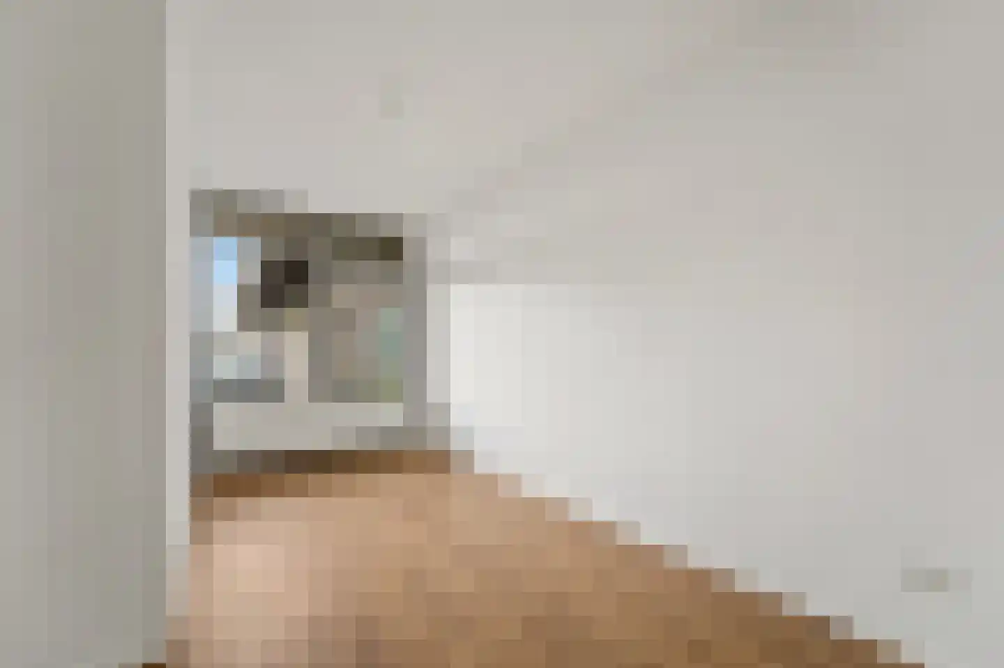 Nootdorpse Landingslaan 46 Den Haag thumbnail 21