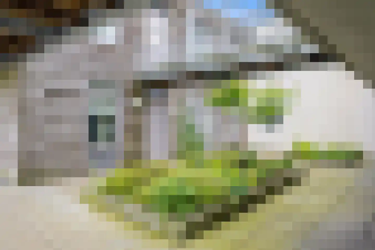 Nootdorpse Landingslaan 46 Den Haag thumbnail 32
