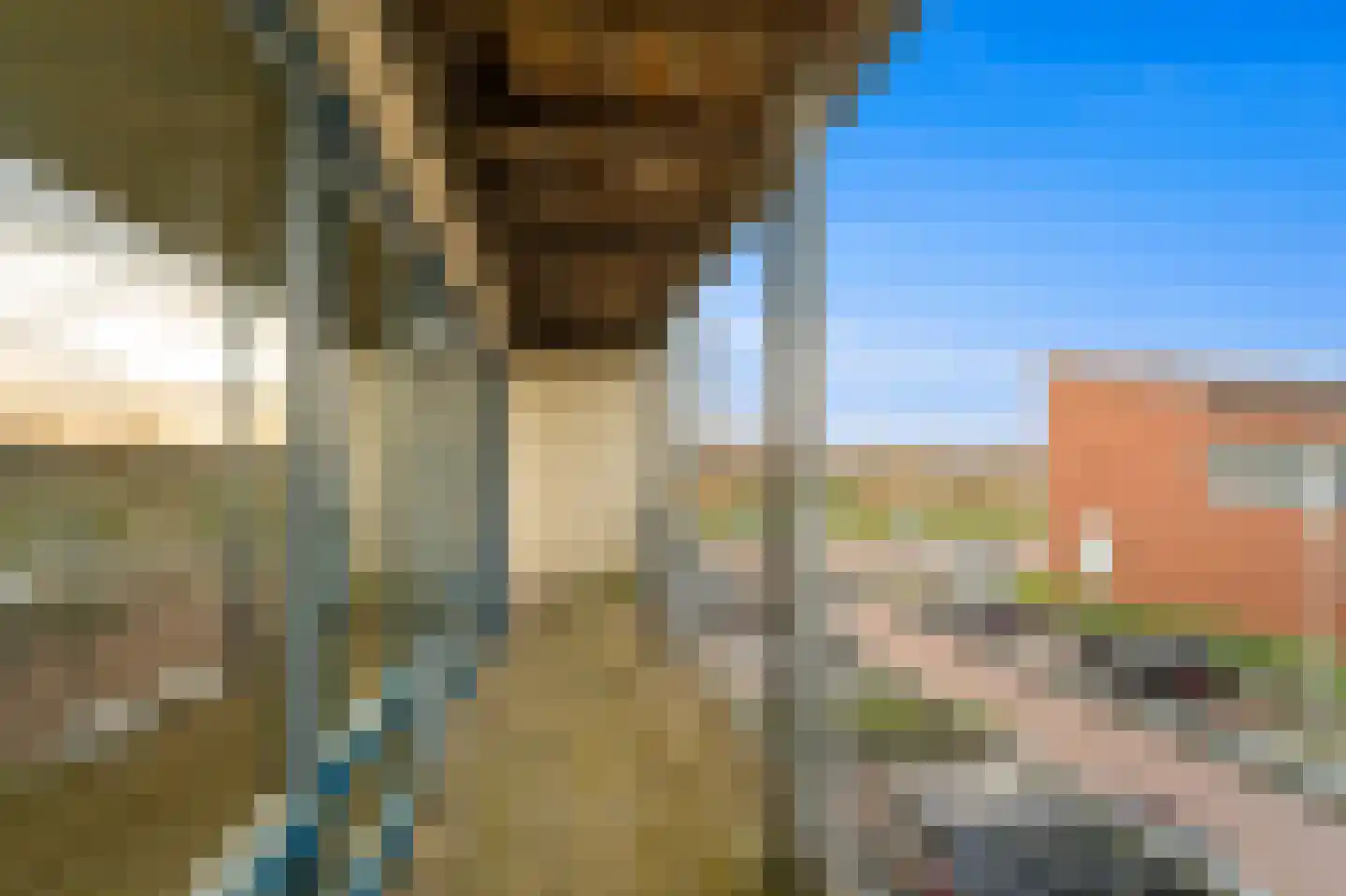 Nootdorpse Landingslaan 46 Den Haag thumbnail 8