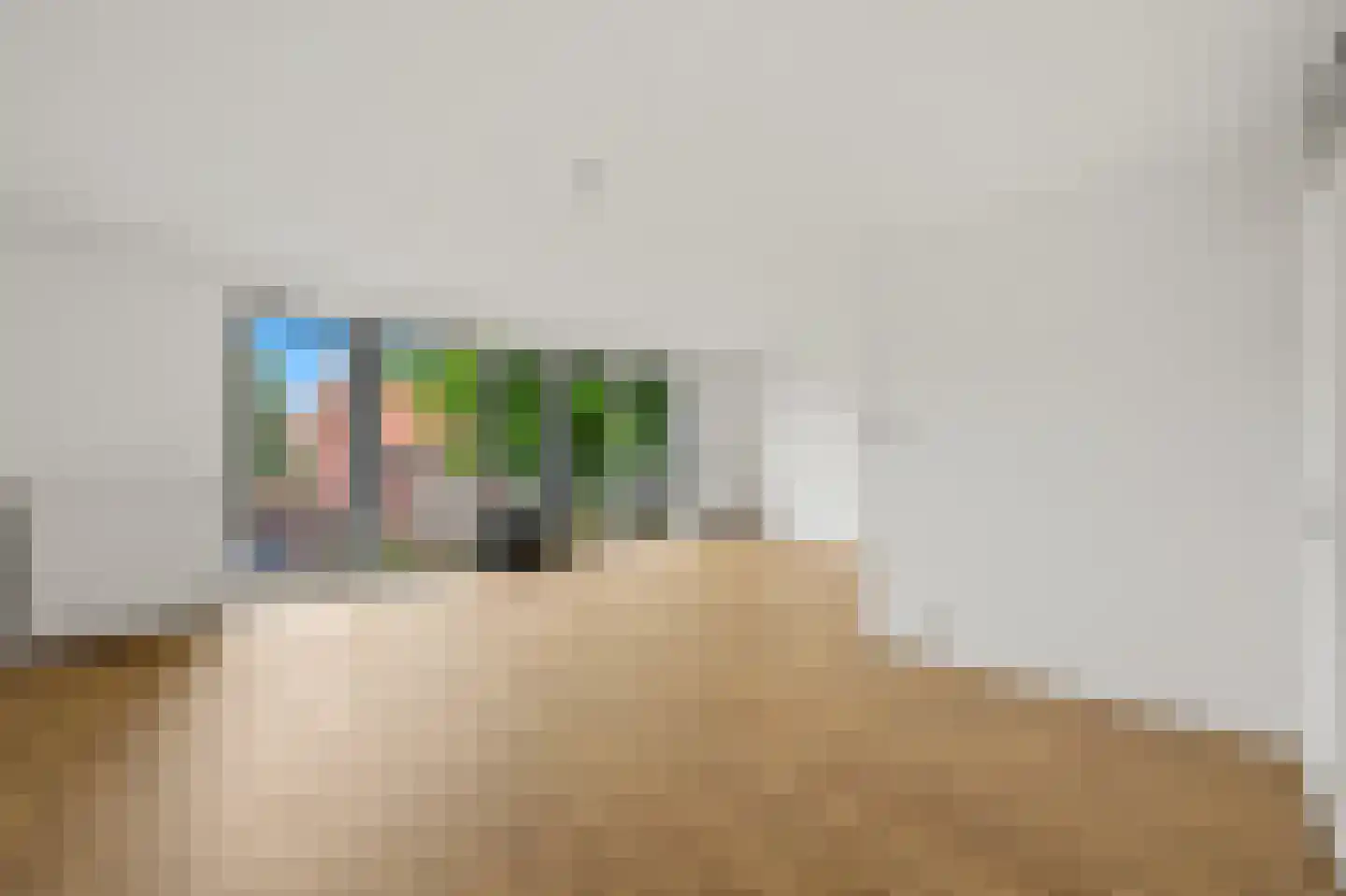 Nootdorpse Landingslaan 46 Den Haag thumbnail 9