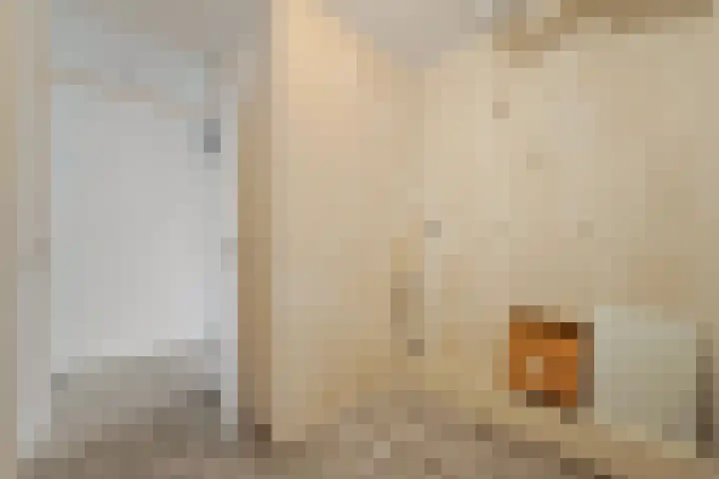 Nootdorpse Landingslaan 50 Den Haag thumbnail 29