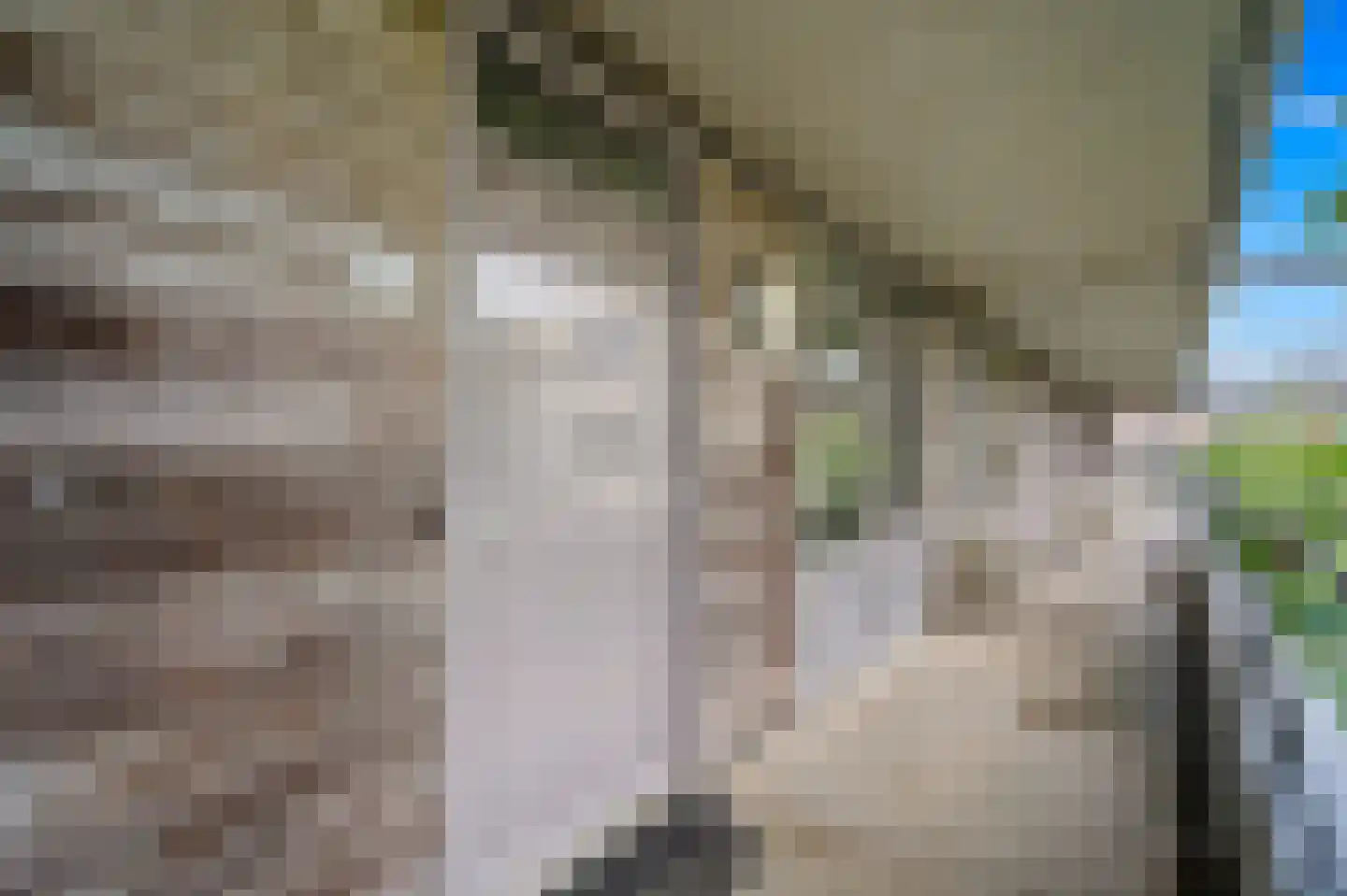 Nootdorpse Landingslaan 50 Den Haag thumbnail 9