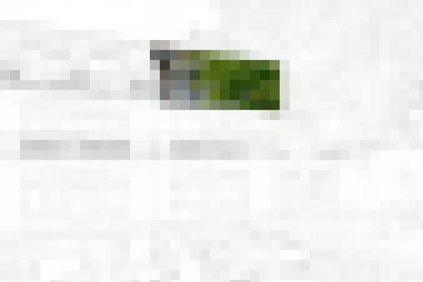 Nootdorpse Landingslaan 72 Den Haag thumbnail 32