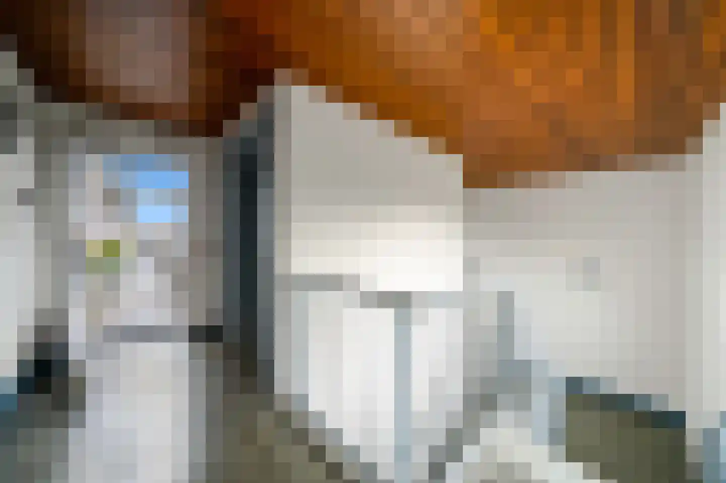 Nootdorpse Landingslaan 72 Den Haag thumbnail 8
