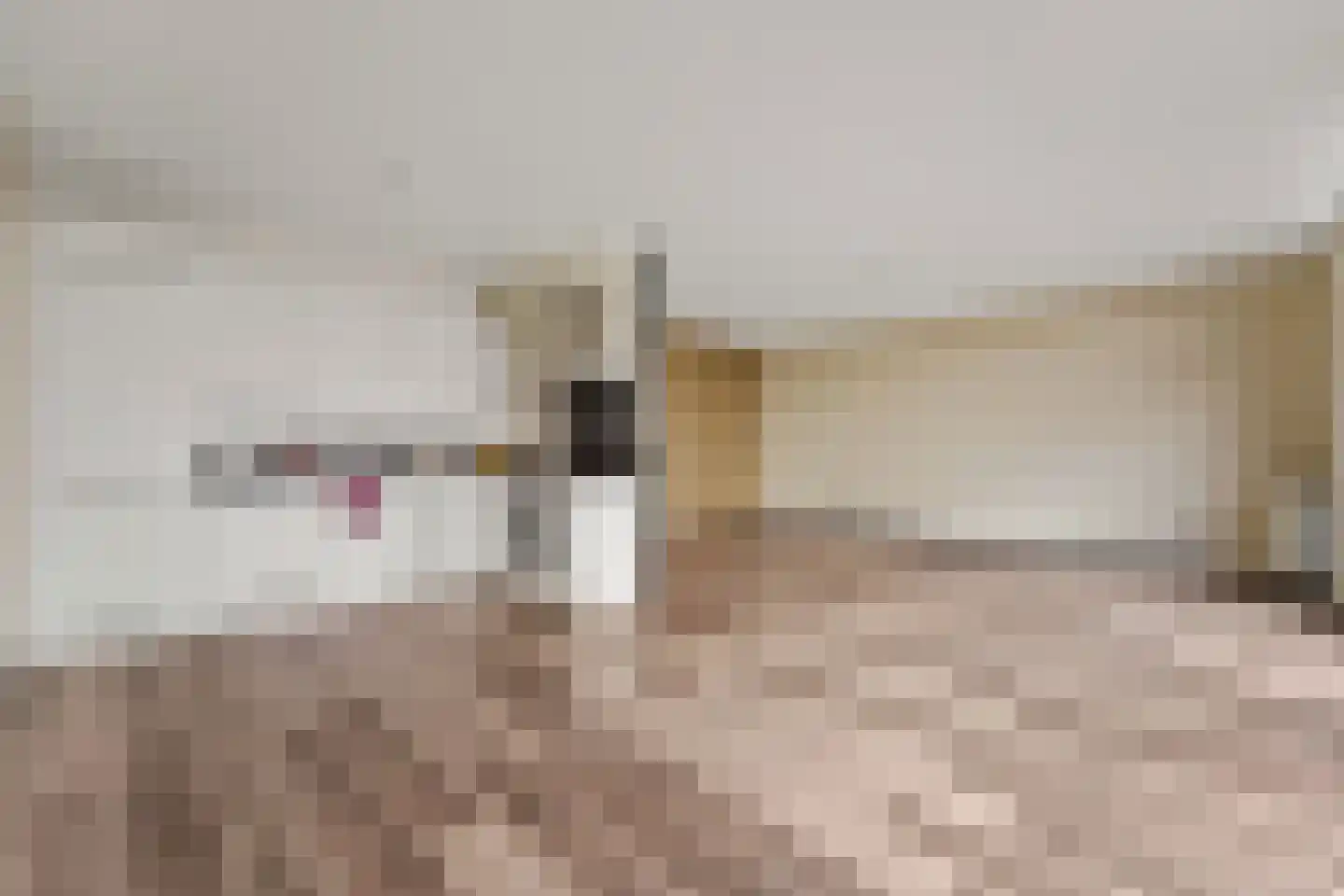 Nootdorpse Landingslaan 78 Den Haag thumbnail 14