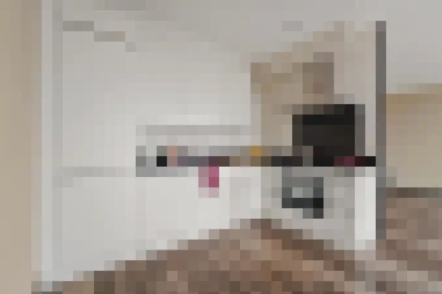 Nootdorpse Landingslaan 78 Den Haag thumbnail 15