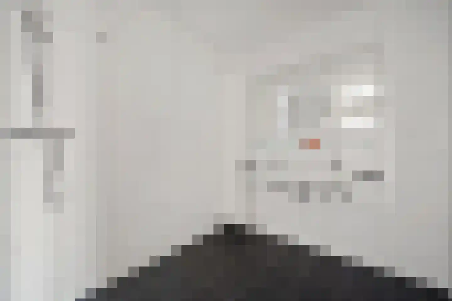 Nootdorpse Landingslaan 78 Den Haag thumbnail 23