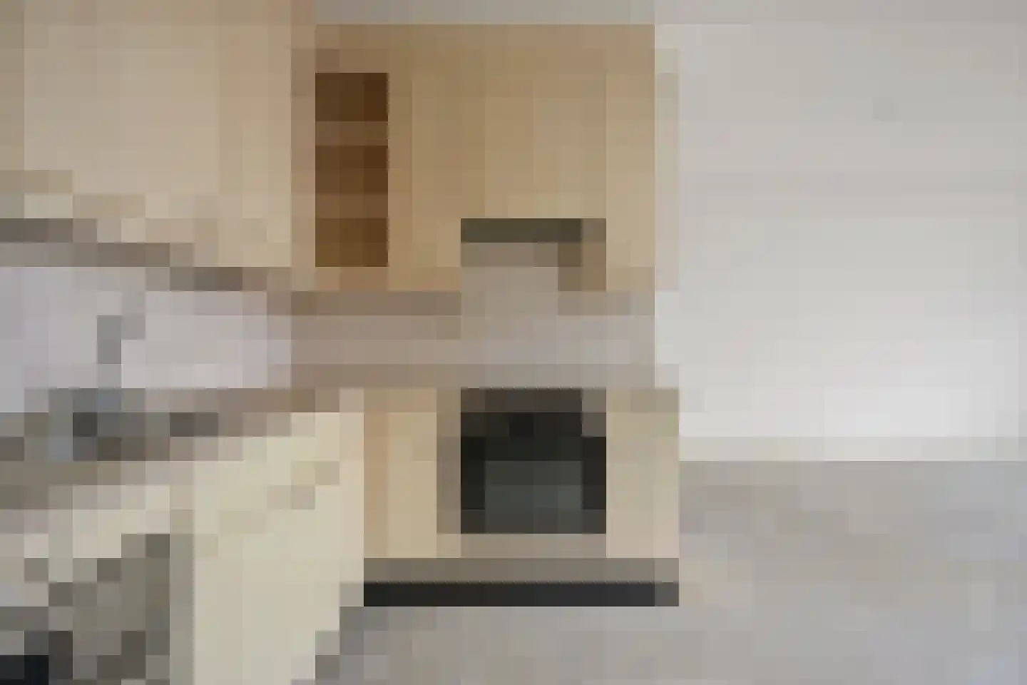 Nootdorpse Landingslaan 80 Den Haag thumbnail 15