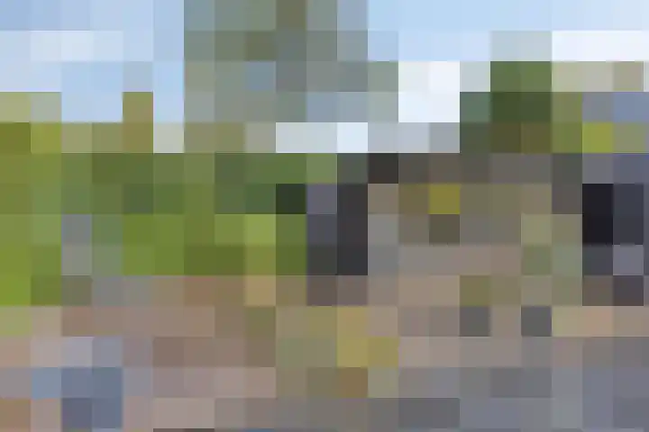 Nootweg 111 Loosdrecht thumbnail 23