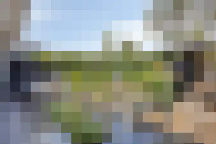 Nootweg 111 Loosdrecht thumbnail 24