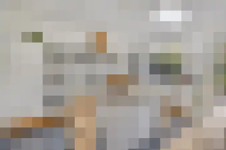 Nootweg 111 Loosdrecht thumbnail 9