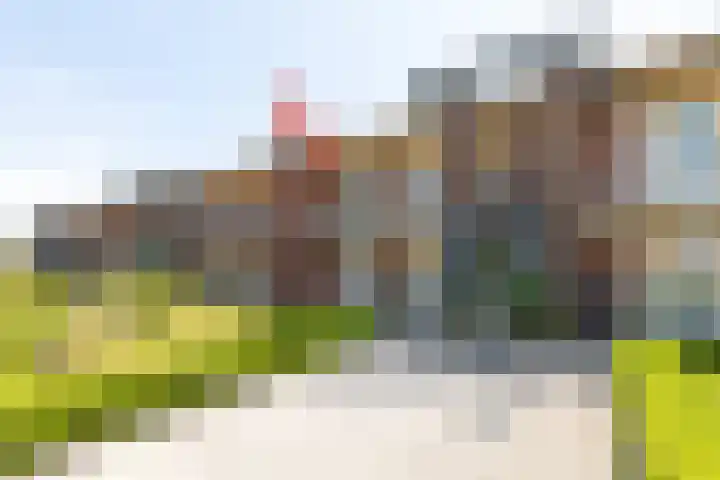 Nootweg 53 ap13 Loosdrecht thumbnail 28
