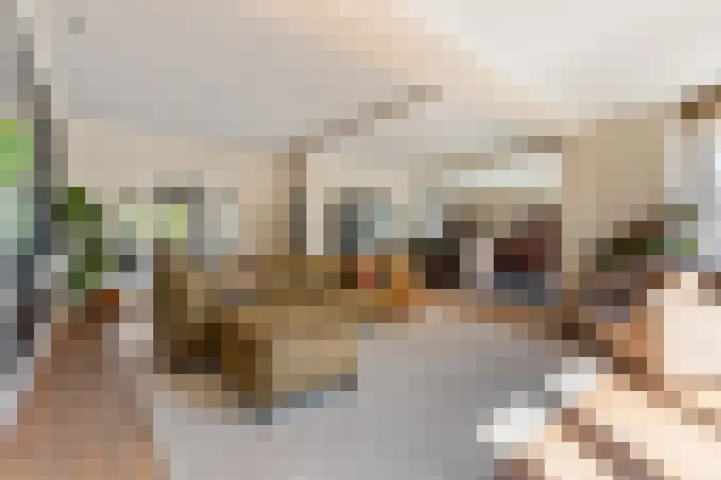 Nootweg 74 Loosdrecht thumbnail 8