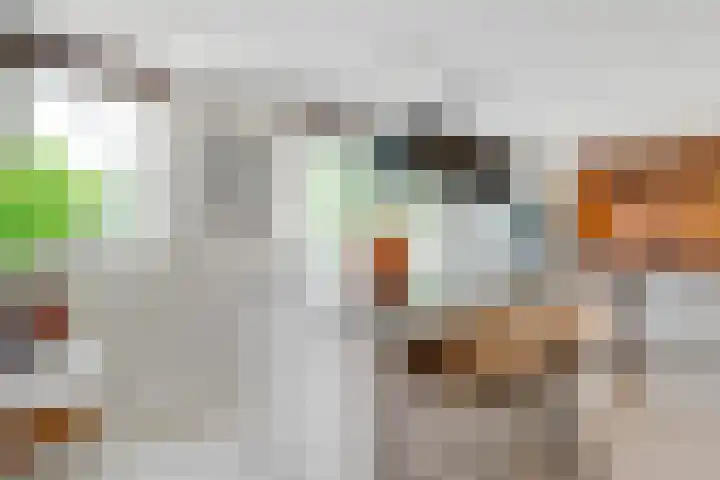 Nootweg 8 c Loosdrecht thumbnail 10