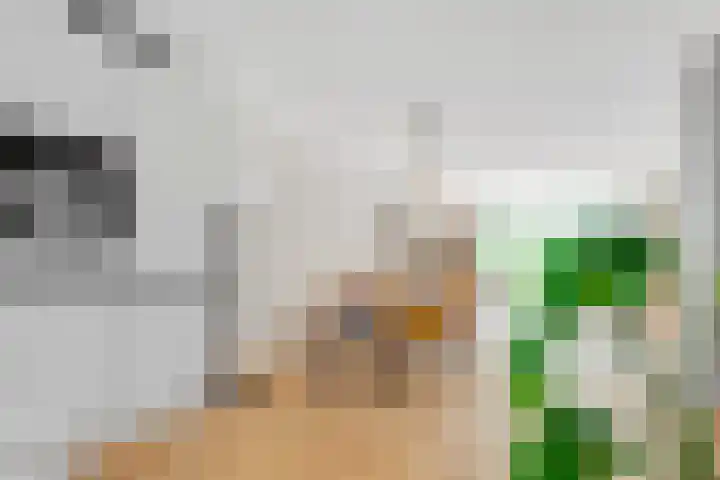 Nootweg 8 c Loosdrecht thumbnail 15