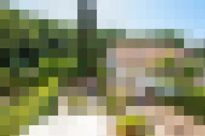 Nootweg 8 c Loosdrecht thumbnail 39