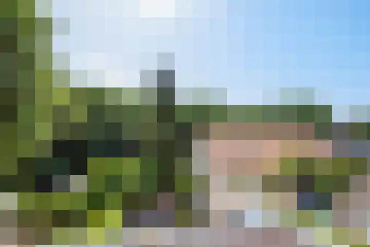 Nootweg 8 c Loosdrecht thumbnail 43