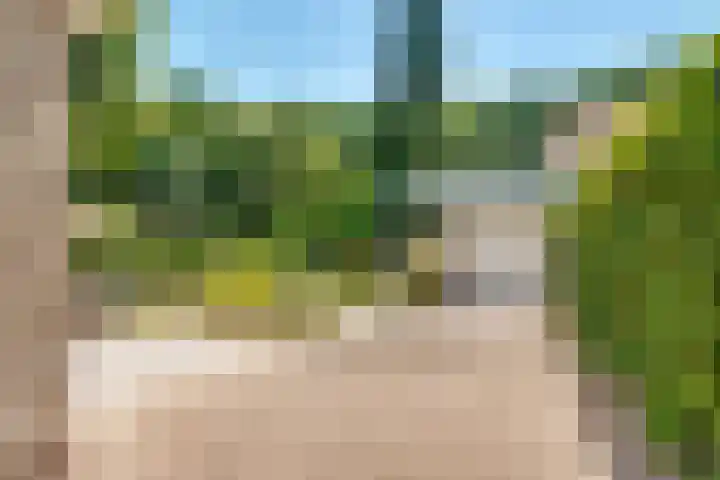 Nootweg 8 c Loosdrecht thumbnail 47