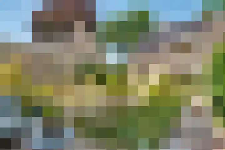 Nootweg 8 c Loosdrecht thumbnail 48