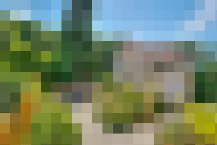 Nootweg 8 c Loosdrecht thumbnail 52