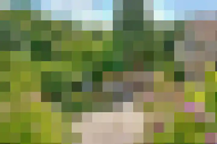 Nootweg 8 c Loosdrecht thumbnail 53