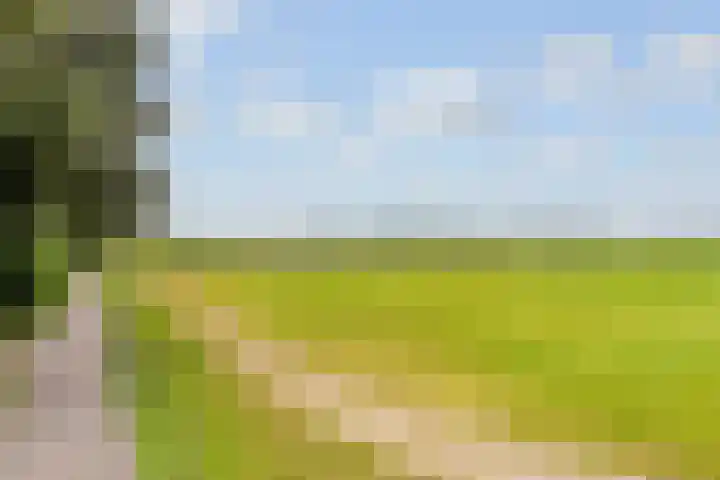 Nootweg 8 c Loosdrecht thumbnail 55