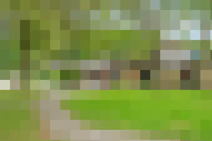 Nootweg 8 c Loosdrecht thumbnail 56