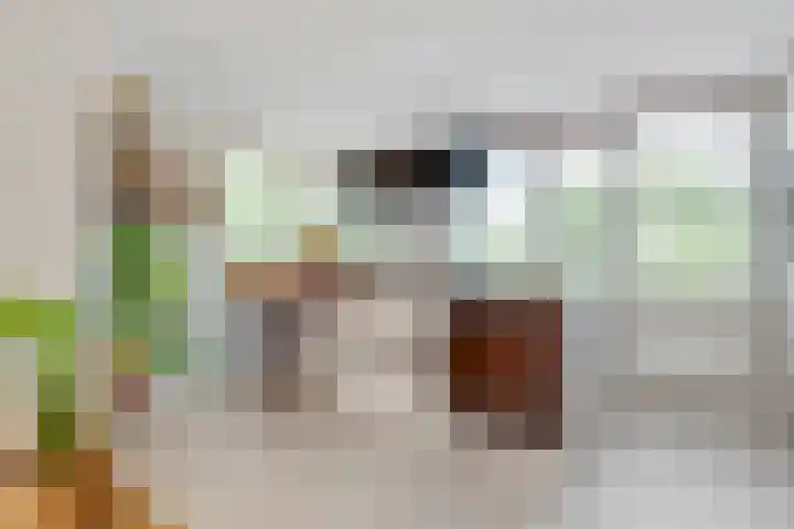 Nootweg 8 c Loosdrecht thumbnail 8