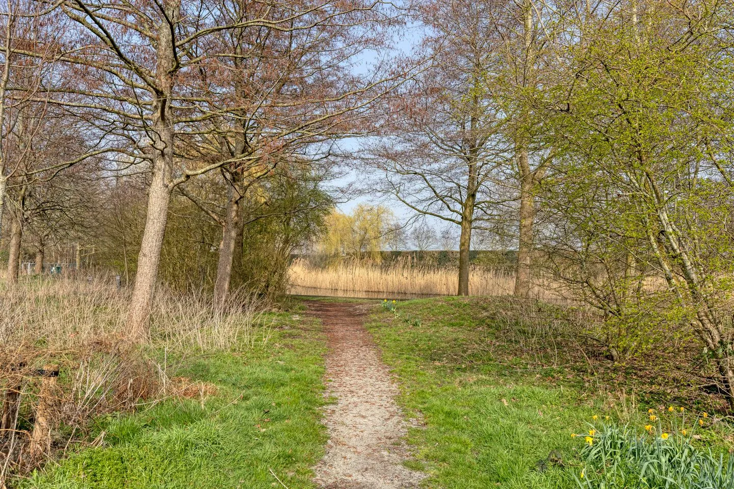 Noppenstraat 22 Zwaanshoek thumbnail 41
