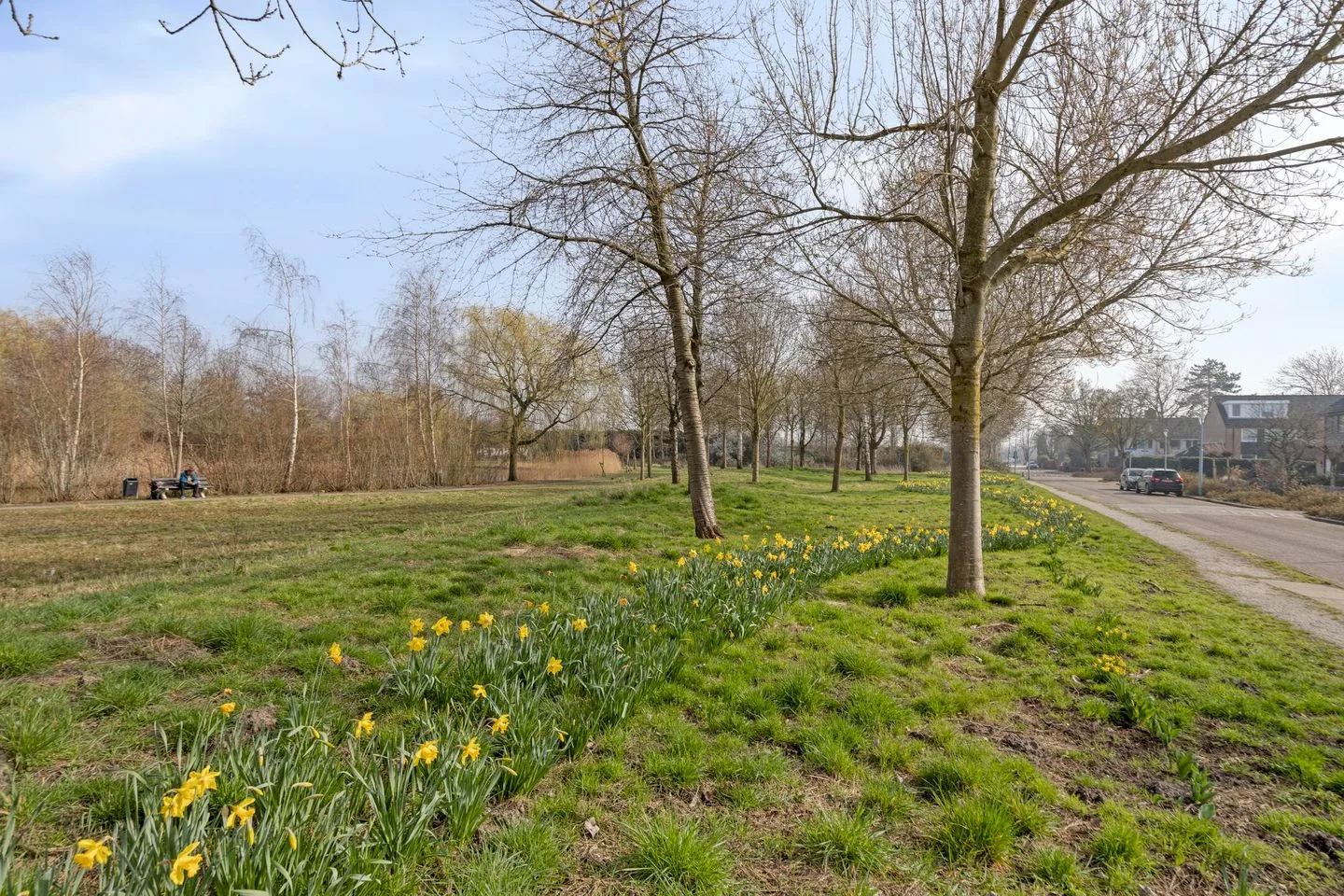Noppenstraat 22 Zwaanshoek thumbnail 42