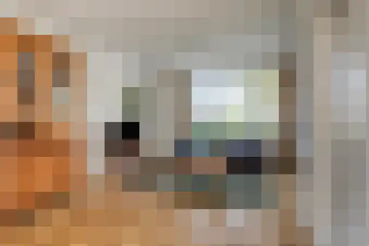 Noppenstraat 4 Hulst thumbnail 10