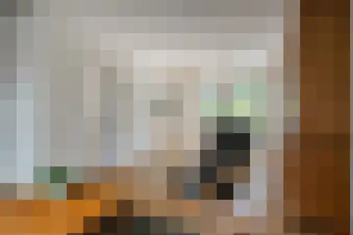 Noppenstraat 4 Hulst thumbnail 14