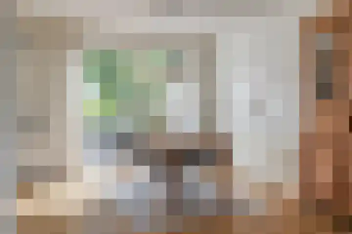 Noppenstraat 4 Hulst thumbnail 15