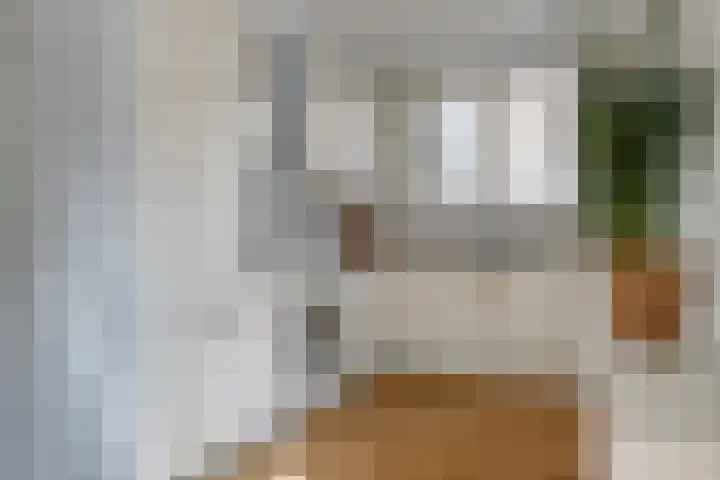 Noppenstraat 4 Hulst thumbnail 17