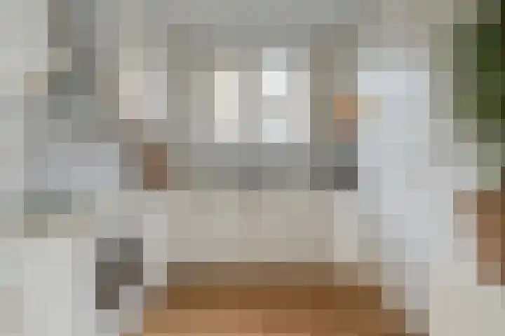 Noppenstraat 4 Hulst thumbnail 18