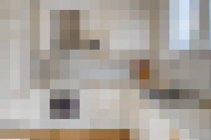 Noppenstraat 4 Hulst thumbnail 19