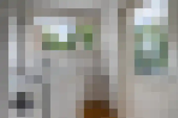 Noppenstraat 4 Hulst thumbnail 20