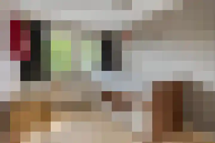 Noppenstraat 4 Hulst thumbnail 22